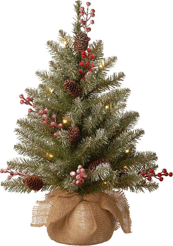Photo 1 of National Tree Company Pre-Lit Artificial Mini Christmas Tree, Green, Dunhill Fir, White Lights, Decorated with Pine Cones, Berry Clusters, Frosted Branches, Includes Cloth Bag Base, 2 Feet