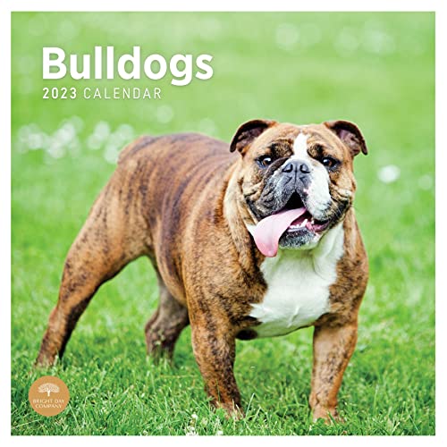 Photo 1 of 2023 Bulldogs Wall Calendar by Bright Day, 12x12 Inch, Cute Adorable Pet Puppy Dog Photography
