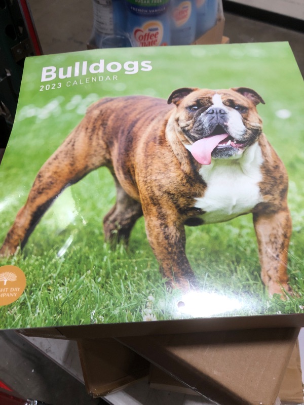 Photo 2 of 2023 Bulldogs Wall Calendar by Bright Day, 12x12 Inch, Cute Adorable Pet Puppy Dog Photography