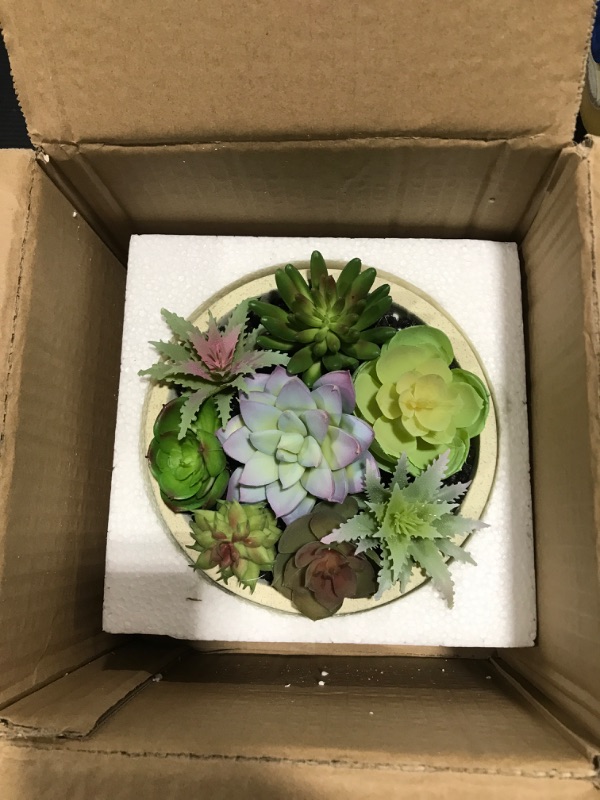 Photo 2 of 5.5"x 4"Artificial Succulent Potted Plants,Cute Fake Plants in Ceramic Potted for Desk, Shelf and Office Decoration,Gifts Cutestyle