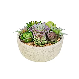 Photo 1 of 5.5"x 4"Artificial Succulent Potted Plants,Cute Fake Plants in Ceramic Potted for Desk, Shelf and Office Decoration,Gifts Cutestyle