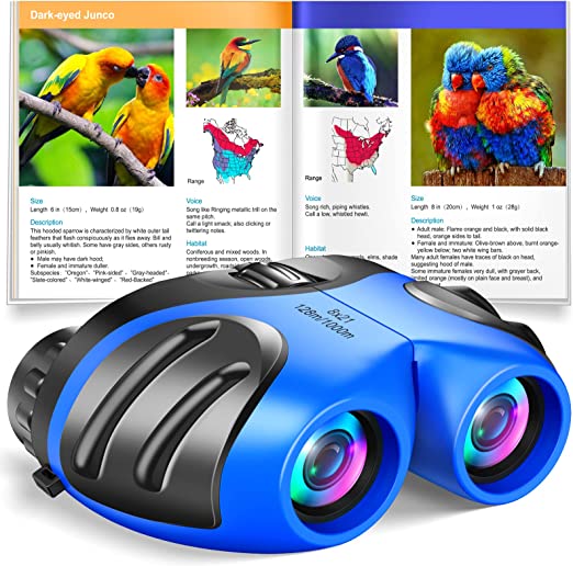 Photo 1 of Boys Toys Age 4-5: Binoculars for Kids Gift for 8-12 Years Old Boys 