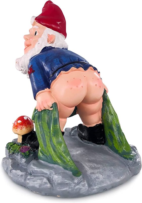 Photo 1 of ACPOP Garden Gnome Statue, Outdoor Garden Gnome Decorations, Bare Buttocks Naughty Gnomes Statue, Funny Resin Gnome Garden Figurines for Outdoor Patio Lawn Yard Decor, 6 inches
