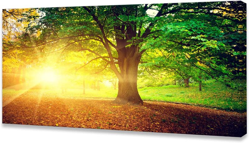 Photo 1 of Baisuwallart BK06175Wall Art Decor Canvas Print Picture Sunrise Trees 1 Panel Natural Forest Painting Yellow Artwork