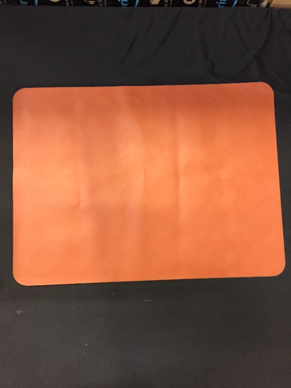 Photo 1 of 2 ORANGE PLACEMATS