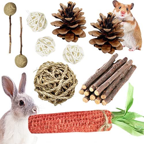 Photo 1 of Bunny Chew Toys for Rabbits Teeth Guinea Pig Natural Apple Wood Sticks Chewing Balls Squirrel Chew and Treat Hamster Activity Toys for Chinchilla Gerbil Rat Small Pets Chewing(10 PCS)