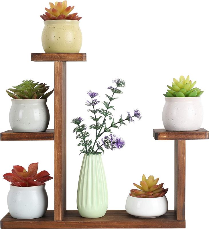 Photo 1 of COOGOU Wood Desktop Plant Stand Indoor Small Windowsill Flower Shelf Tabletop Plant Shelf Holder Display Rack for Succulent Herb in Living Room Office
