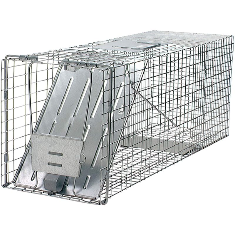 Photo 1 of 1079SR Large 1-Door Humane Catch and Release Live Animal Trap for Raccoons, Cats, Bobcats, Beavers, Small Dogs, Groundhogs, Opossums, Foxes, Armadillos, and Similar-Sized Animals
