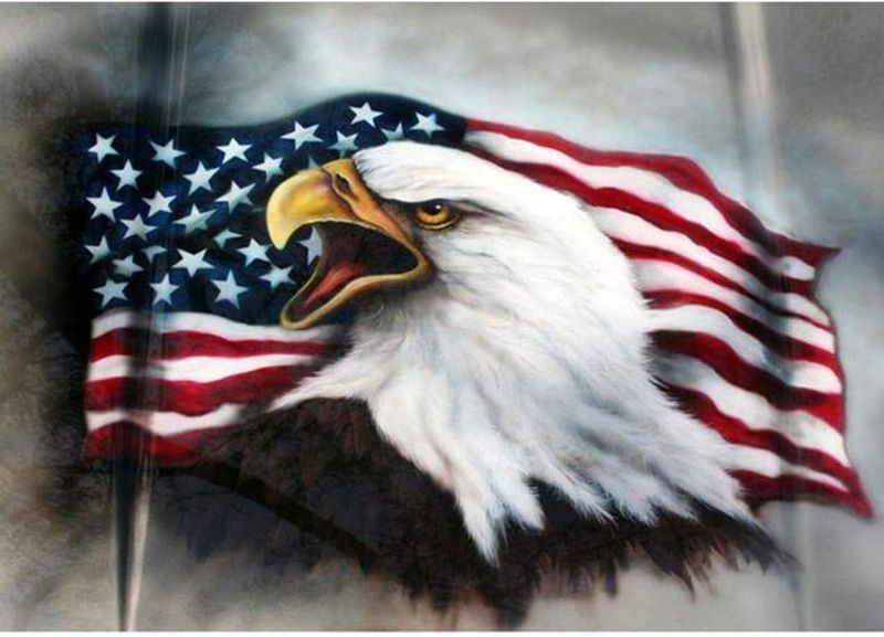 Photo 1 of 5D Diamond Painting Kits for Adults, Kids. Home Decoration, Room, Office, Gift for Him Her American Flag and Eagle 15.7x11.8in 1 Pack by YIGANERJING
