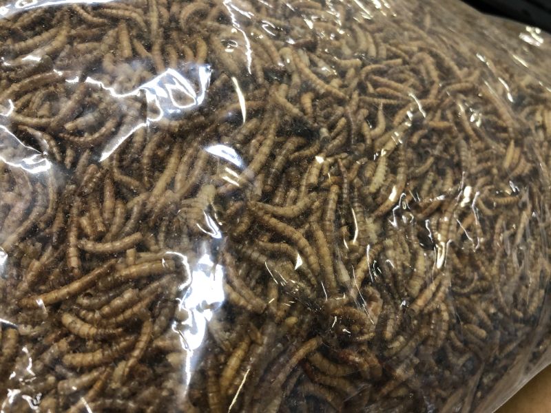 Photo 1 of 10oz Dried Mealworms for Wild Birds Food Blue Bird Chickens Hen Treats Non-GMO---exp date 01-2024
