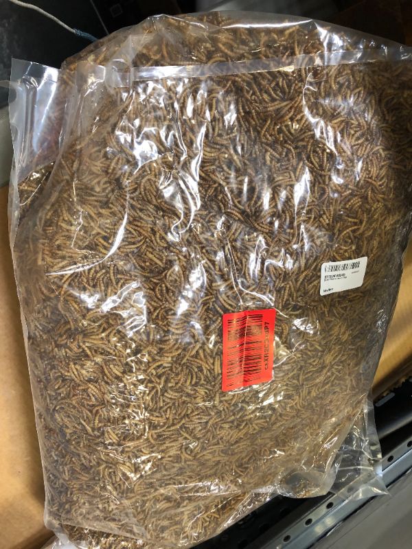 Photo 2 of 10oz Dried Mealworms for Wild Birds Food Blue Bird Chickens Hen Treats Non-GMO---exp date 01-2024
