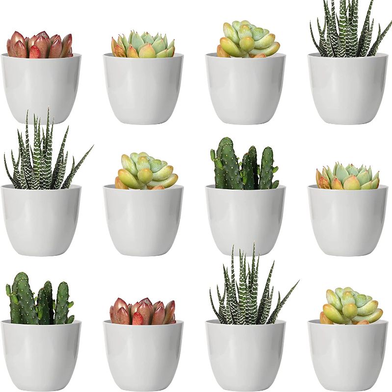 Photo 1 of Youngever 24 Pack 2 Inch Mini Plastic Planters, Indoor Flower Plant Pots, Grey Gardening Pot with Drainage - NO Plant Included (Modern)
