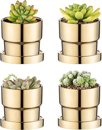 Photo 1 of Ceramic Planter Pot with Saucer, 4 Inch Plant Pot with Drainage Hole, Modern Indoor Planter Houseplant Pot, 4 Pot Planter for Succulents, Small Plant, Pot Housewarming Gift (Gold)
