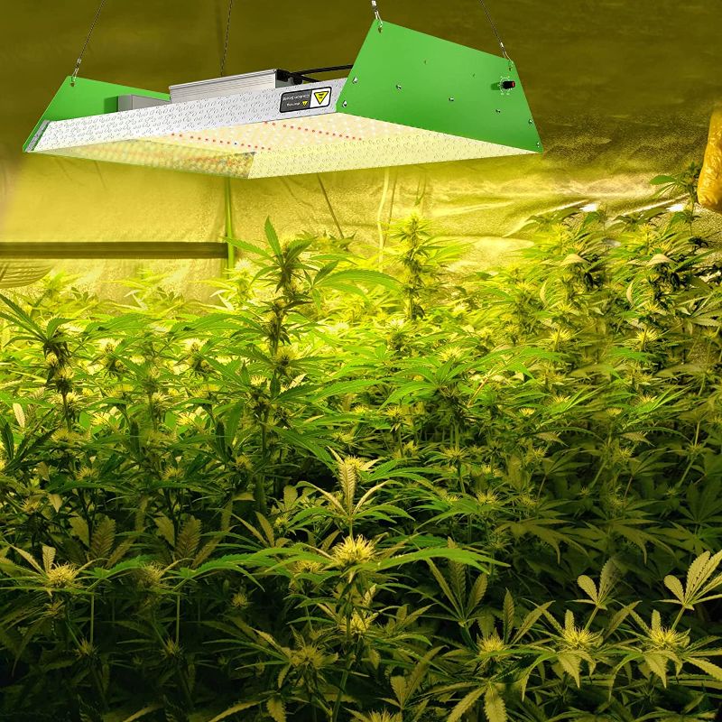 Photo 1 of SUNSHINE FARMRE LED Grow Light, 4x4 ft Coverage Full Spectrum Grow Lights for Indoor Plants, Upgraded SF 3000W Dimmable Grow Sunlike Greenhouse Led Hydroponic Grow Lamp with 768 LEDs for Veg and Bloom
