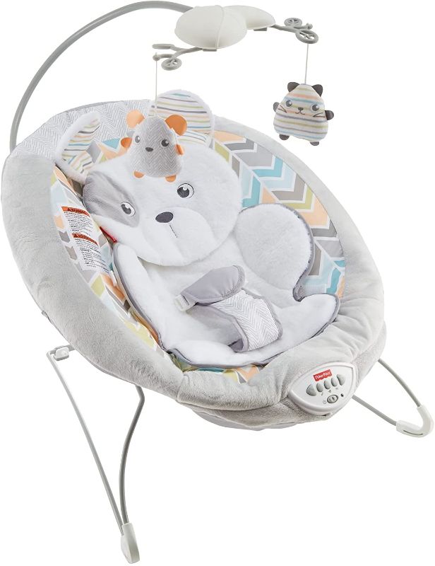 Photo 1 of ?Fisher-Price Sweet Snugapuppy Deluxe Bouncer, Portable Bouncing Baby Seat with
