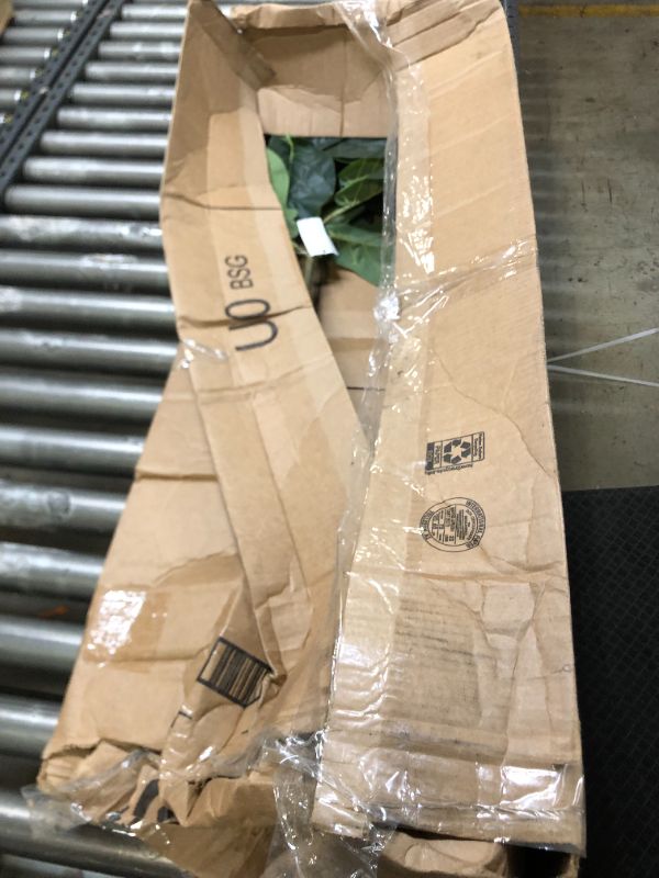Photo 2 of 4.5ft. Fiddle Leaf Fig Artificial Tree ******MAJOR DAMAGE TO PACKAGING****MINIMUM DAMAGE TO PRODUCT****
