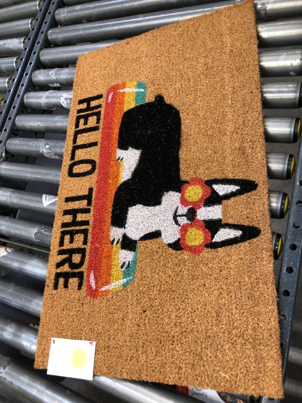 Photo 2 of 1'6"x2'6" Hello Summer Dog Doormat Natural - Sun Squad

