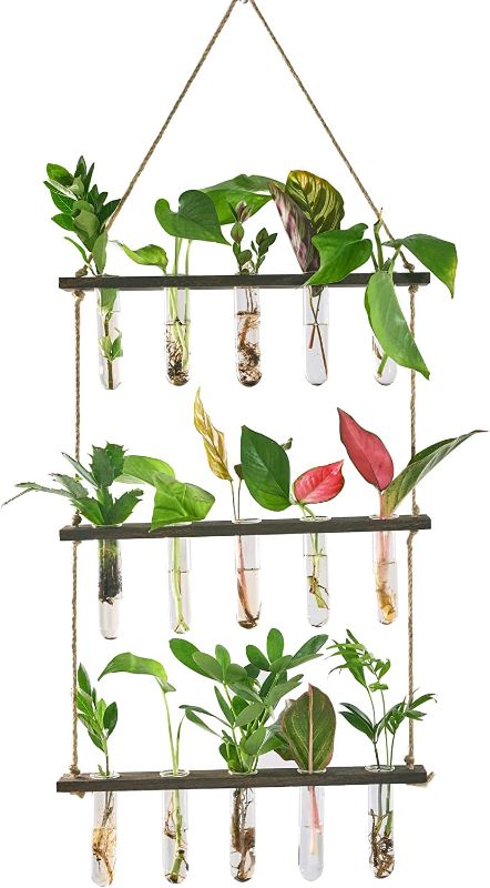 Photo 1 of 3 Tiered Hanging Plant Propagation Stations Plant Terrarium,Test Tube Flower Vases Retro Glass Planter Propagator for Hydroponic Plants Cutting Home Office Garden Decor 16 Propagation Tubes
