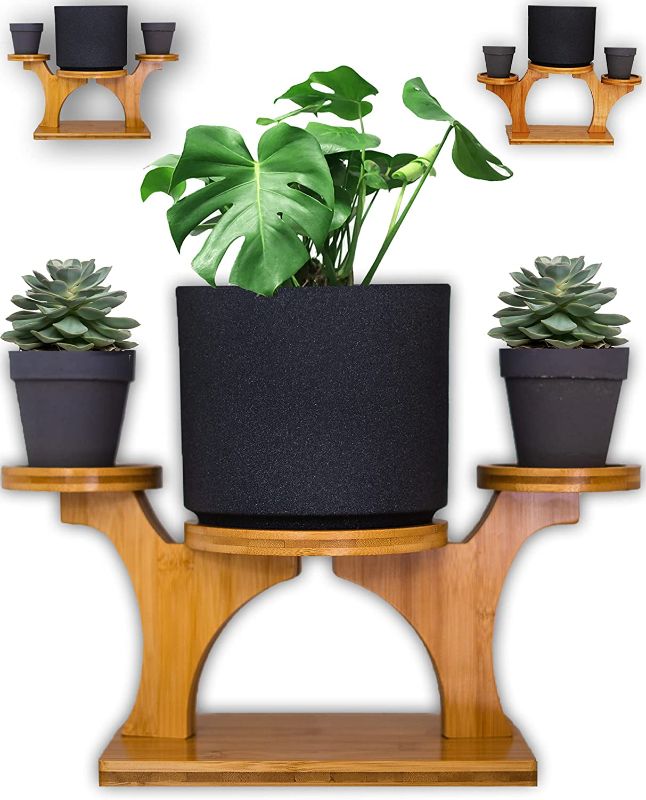 Photo 1 of Aüboo Unique Bamboo Indoor Plant Stand Tabletop Small Plant Stand Indoor Mini 3 Tier Bamboo Plant Stand for Indoor Plants, Plant Stands for Multiple Plants, Plant Stand Fits 3” and 6'' Pots
