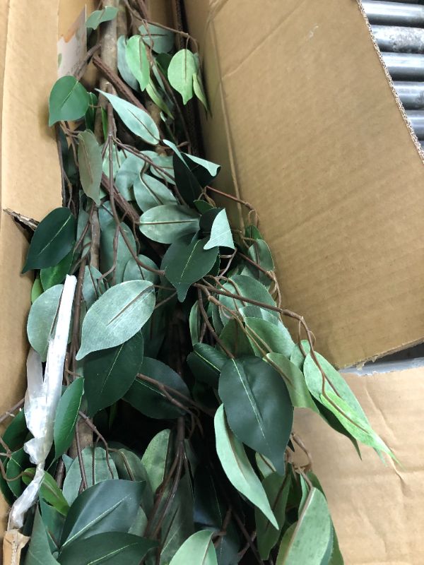 Photo 1 of 5FT FAUX FICUS TRE 