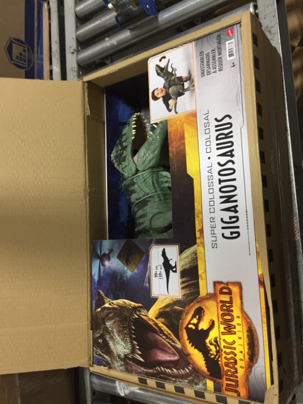 Photo 2 of Jurassic World Dominion Super Colossal Giganotosaurus Action Figure with Eating Feature, Extra Large Toy Dinosaur at 39in Long