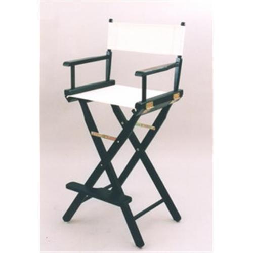 Photo 1 of Director Chair Frame //Color: black 

