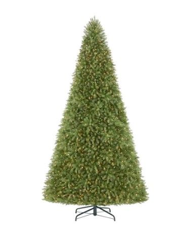 Photo 1 of 12 ft Dunhill Fir Incandescent Christmas Tree
