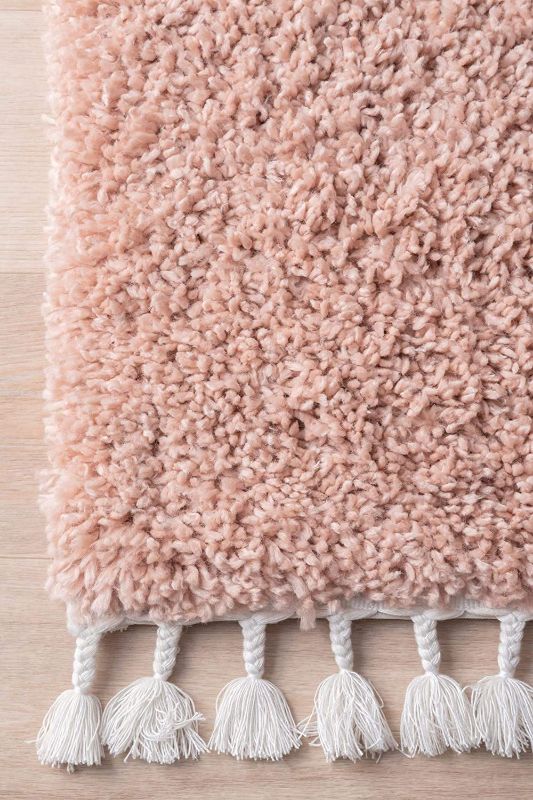 Photo 1 of 
nuLOOM Neva Plush Shag Accent Rug, 2' x 3', Pink