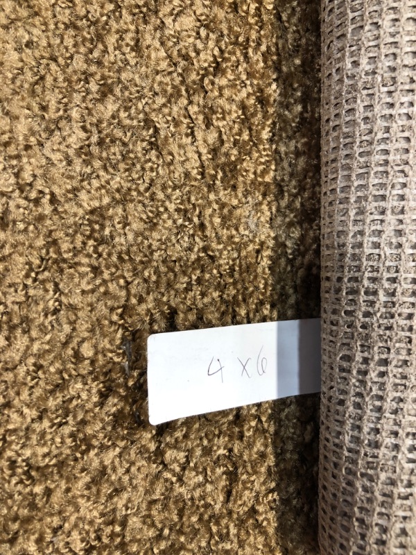 Photo 1 of 4x6 solid brown rug 
