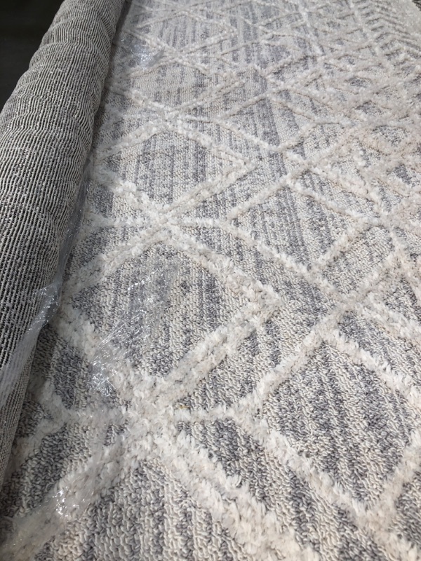 Photo 1 of Ansley Textured Lattice Tassel Beige 7 ft. 10 in. x 10 ft. 10 in. Area Rug