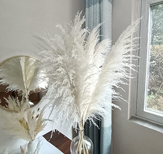 Photo 1 of Large 4 Stems Ivory White Pampas Grass White Tall Pampas Grass Plants, 46” Dried Pampas Grass Large, Pampas Grass Decor Tall for Rustic, Boho Decor, Home Decor as Plant Room Decor
