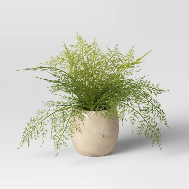 Photo 1 of 2 PACK: Sm Asparagus Fern - Threshold  8 Inches (H) x 6 Inches (W) x 6 Inches (D)

