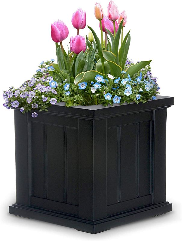 Photo 1 of  Cape Cod Planter, Black, 14 -Inch