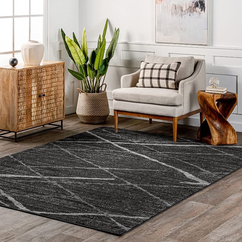 Photo 1 of 
nuLOOM Thigpen Contemporary Area Rug, 4' x 6', Dark Grey