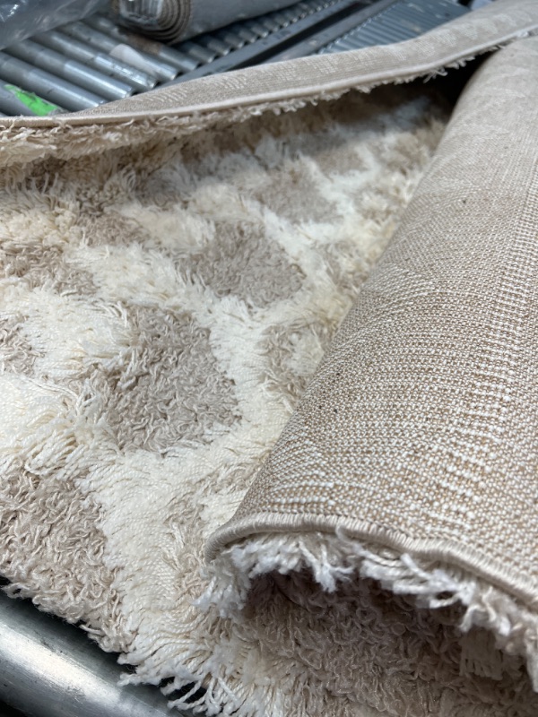 Photo 1 of 7'10" x 10'3" Surya Urban Shag USG-2303 Area Rug