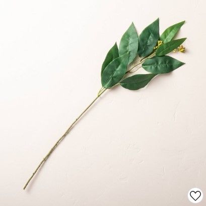 Photo 1 of 22" Faux Long Leaf Eucalyptus Plant Stem - Hearth & Hand™ with Magnolia

