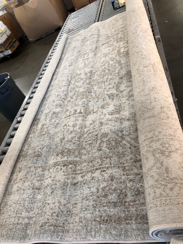 Photo 2 of 
SAFAVIEH Evoke Collection 8' x 10' Ivory / Taupe EVK256E Oriental Distressed Non-Shedding Living Room Bedroom Dining Home Office Area Rug )