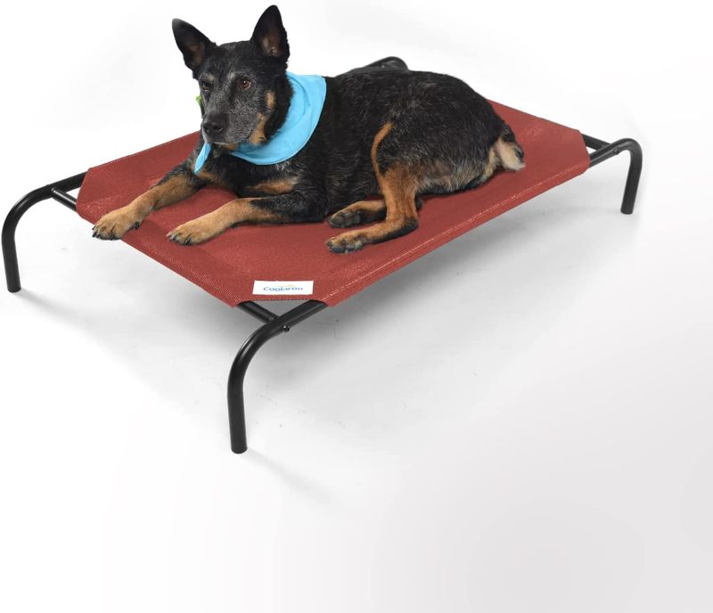 Photo 1 of Coolaroo The Original Cooling Elevated Pet Bed
