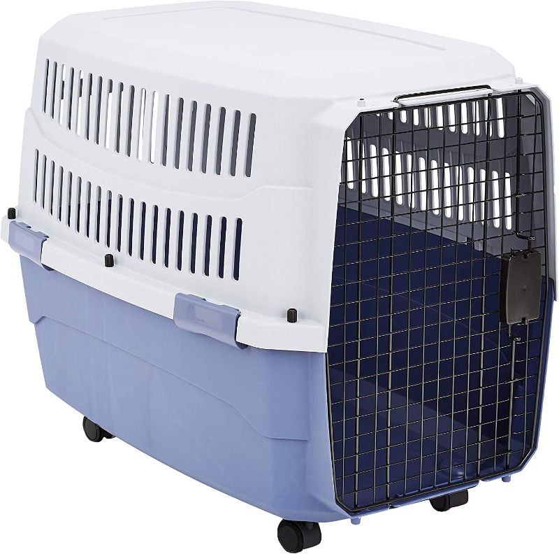 Photo 1 of Amazon Basics Pet Carrier Kennel With Plastic Ventilation, 36-Inch