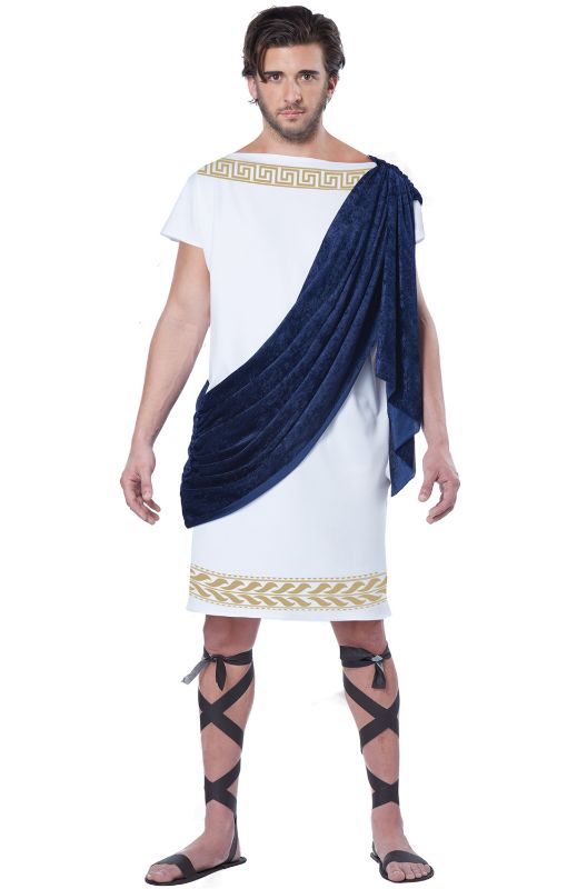 Photo 1 of Grecian Toga Adult Costume size large 