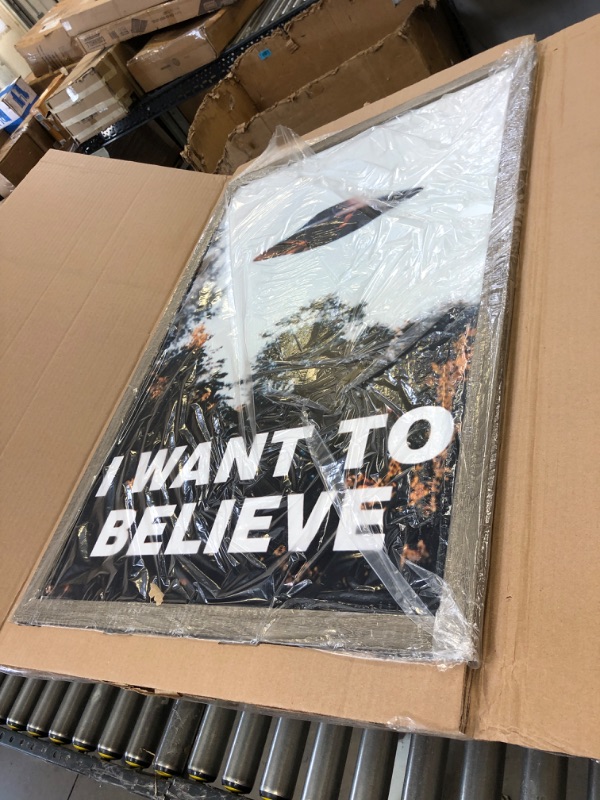 Photo 1 of 3 X 2 FT I WANT TO BELIEVE PICTURE 