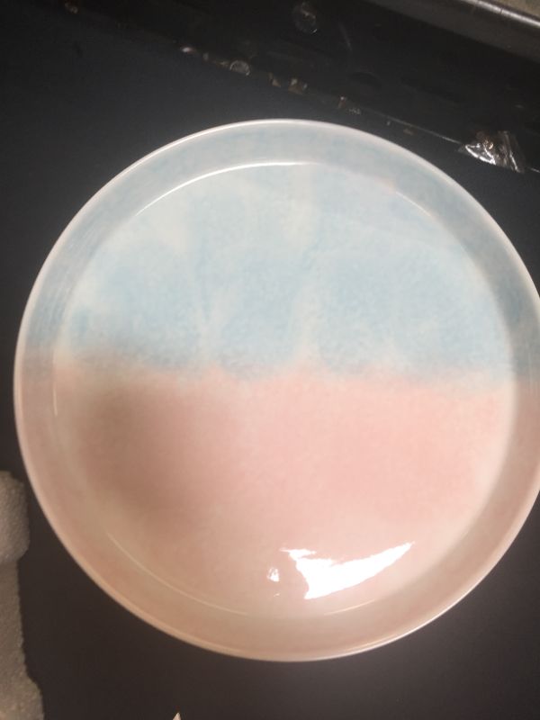 Photo 2 of ?NEW ARRIVAL?DUJUST Pastel Pink & Blue Porcelain Dinner Plates of 6, 10 inch, Easter/Spring Feel, Easy to Clean, Great Durability for Salad/Pasta/Steak/Cake, Chip Resistant, Lead-Free & BPA-Free
