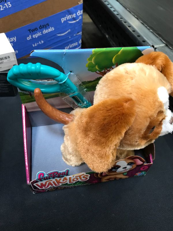 Photo 1 of FurReal Walkalots Big Wags, Pup
