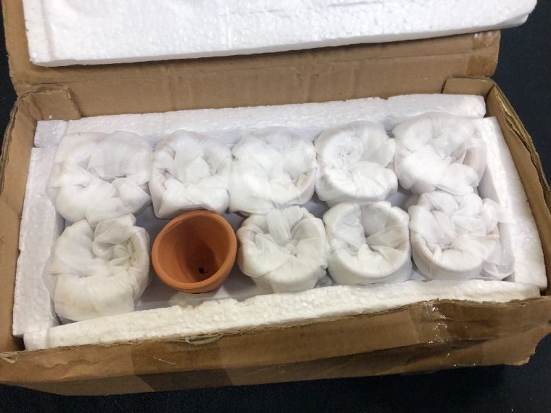 Photo 1 of 2" FLOWER SMALL POTS (DAMAGES TO PACKAGING)