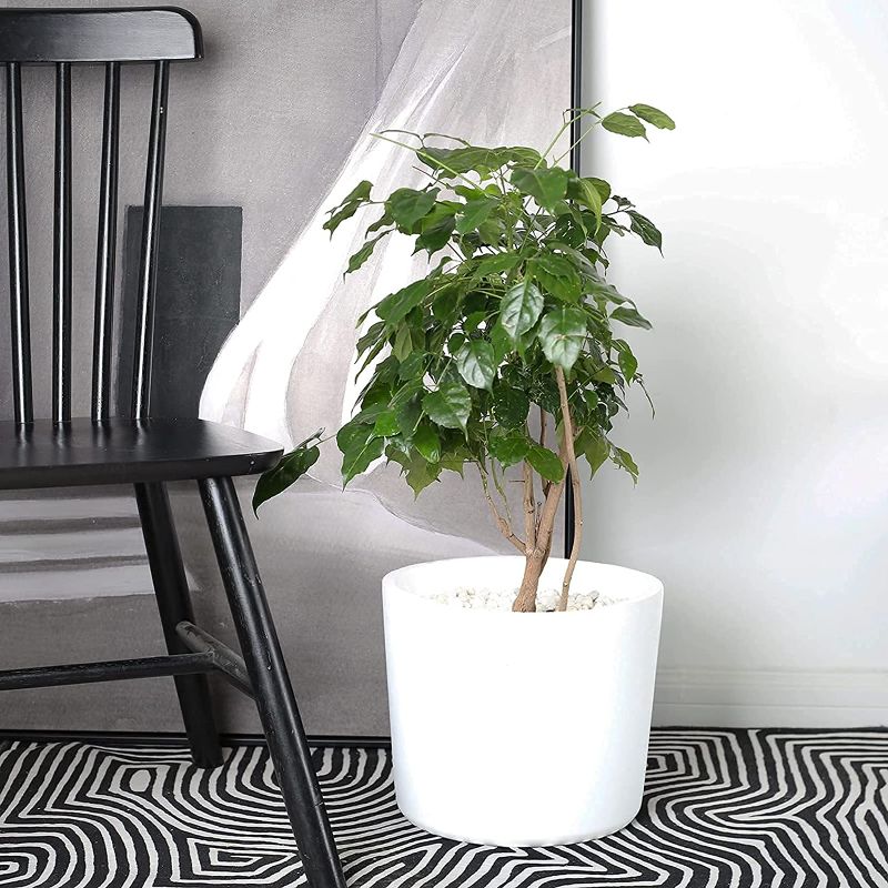 Photo 1 of Buyaround Plant Pots, Ceramic 9 Inch Planters Indoor, Modern White Flower Pots with Drainage Hole, Decorative Home Office
