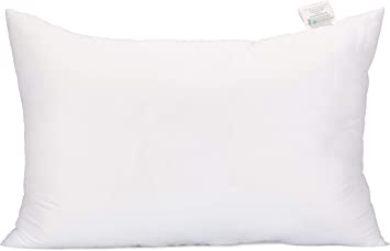 Photo 1 of Acanva Bed Sleeping Extra-Soft Sham Pillow Insert, 1 Count (Pack of 1), White
