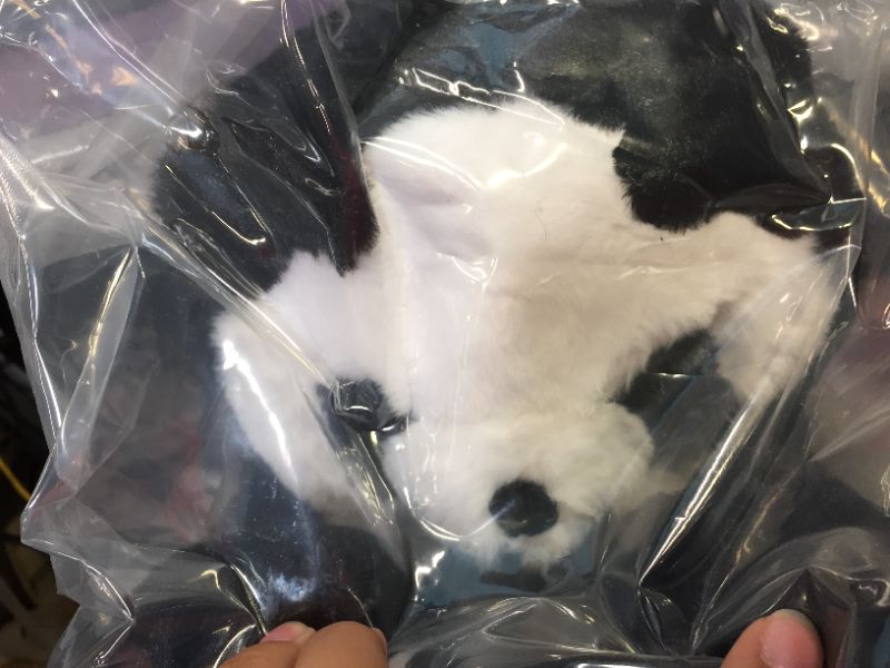 Photo 1 of PLUSH CARTOON PANDA SLIPPERS WINTER SHOES -- SIZE NOT SPECIFIED -- SOLD AS IS -- FACTORY SEALED