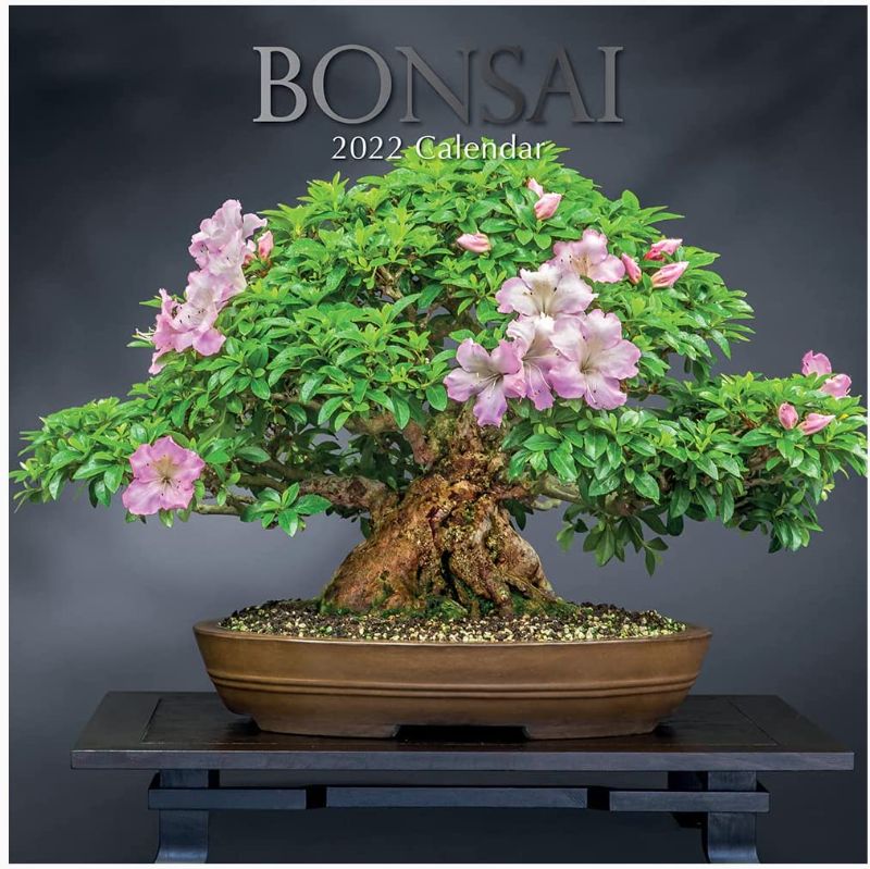 Photo 1 of 3 pack of 2022 Square Wall Calendar - Bonsai, 12 x 12 Inch Monthly View, 16-Month, Floral Theme, Includes 180 Reminder Stickers