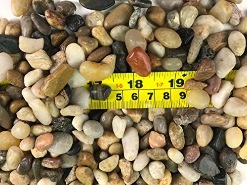 Photo 1 of Barcode for RG 1 Pack: Polished Mixed Color Stones Small Decorative River Rock Stones 3LBS
