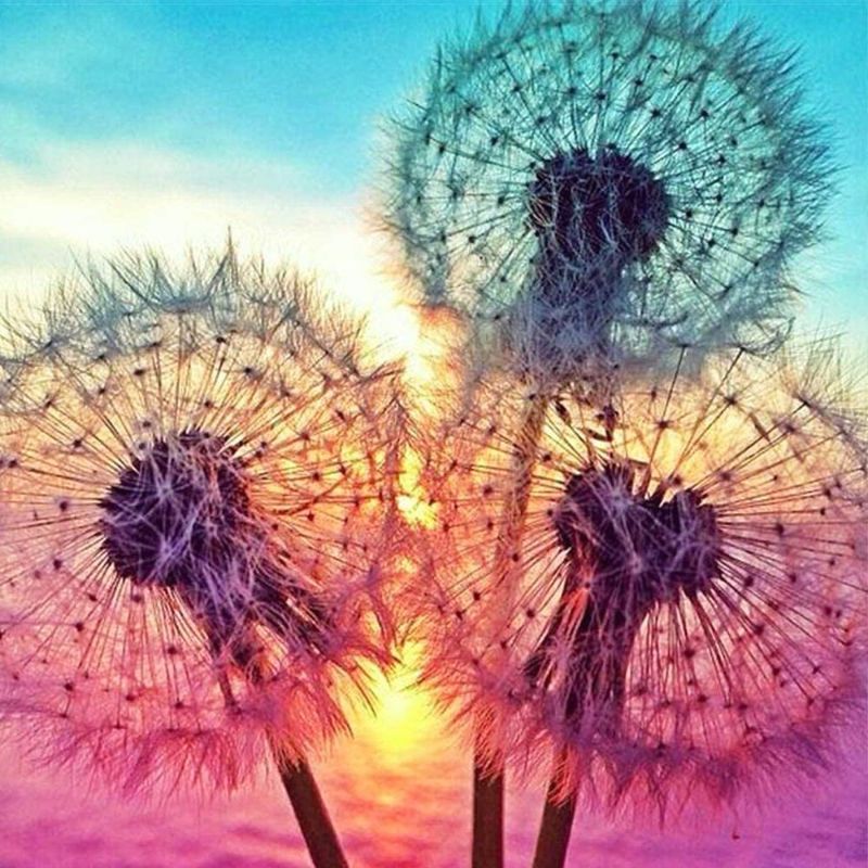 Photo 1 of DIY 5D Diamond Painting Kits for Adults,Dandelions Dot Full Drill Crystal Rhinestone Embroidery for Home Wall Decor(12X12in)
